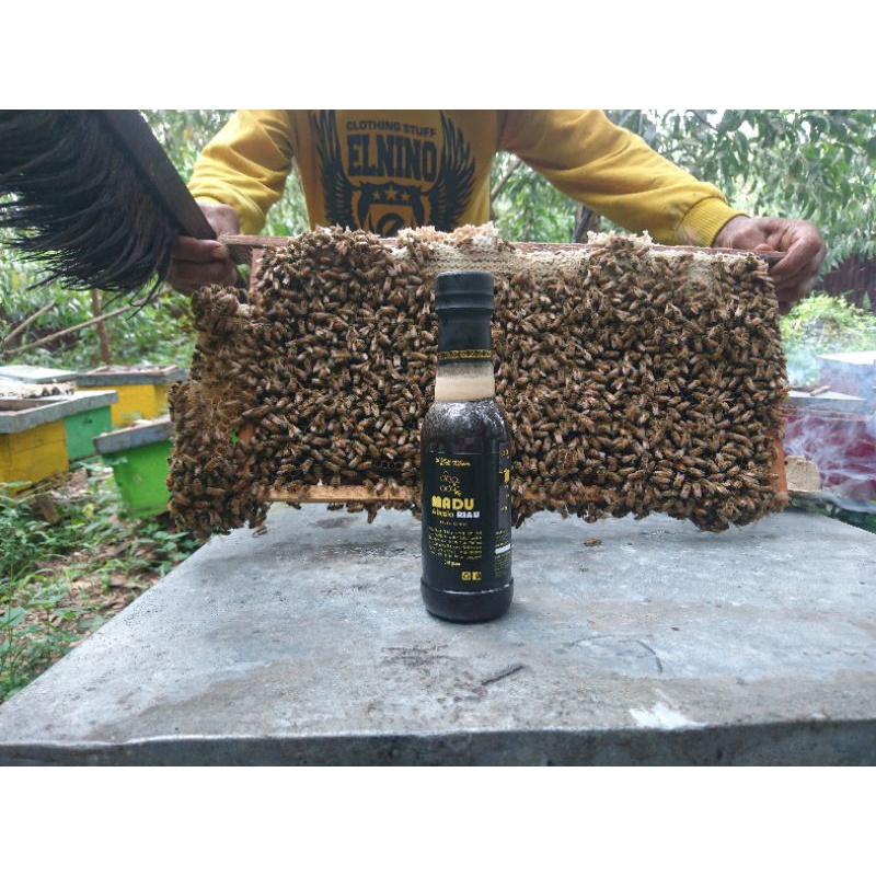 

Madu Murni Akasia RIAU 330 gram