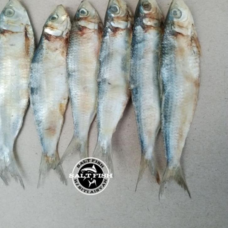 

Klaim promo--ikan asin TEMBANG SISIK fresh ;500 gram