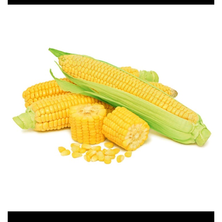 

PS/JAGUNG MANIS/500gr