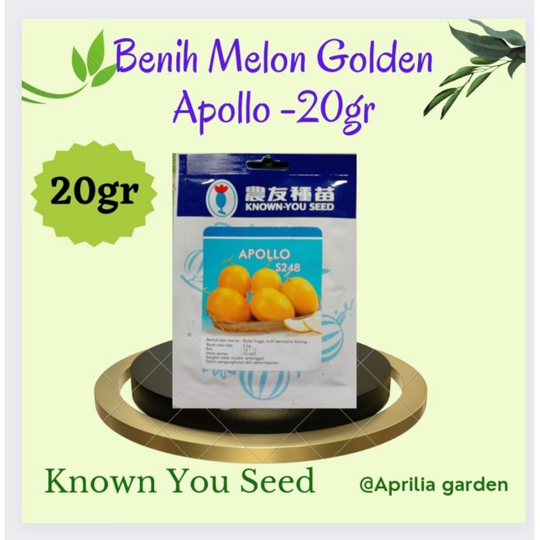 Benih  Biji Melon  Apollo 20gr /Benih Melon Golden Apollo  Original Known You Seed