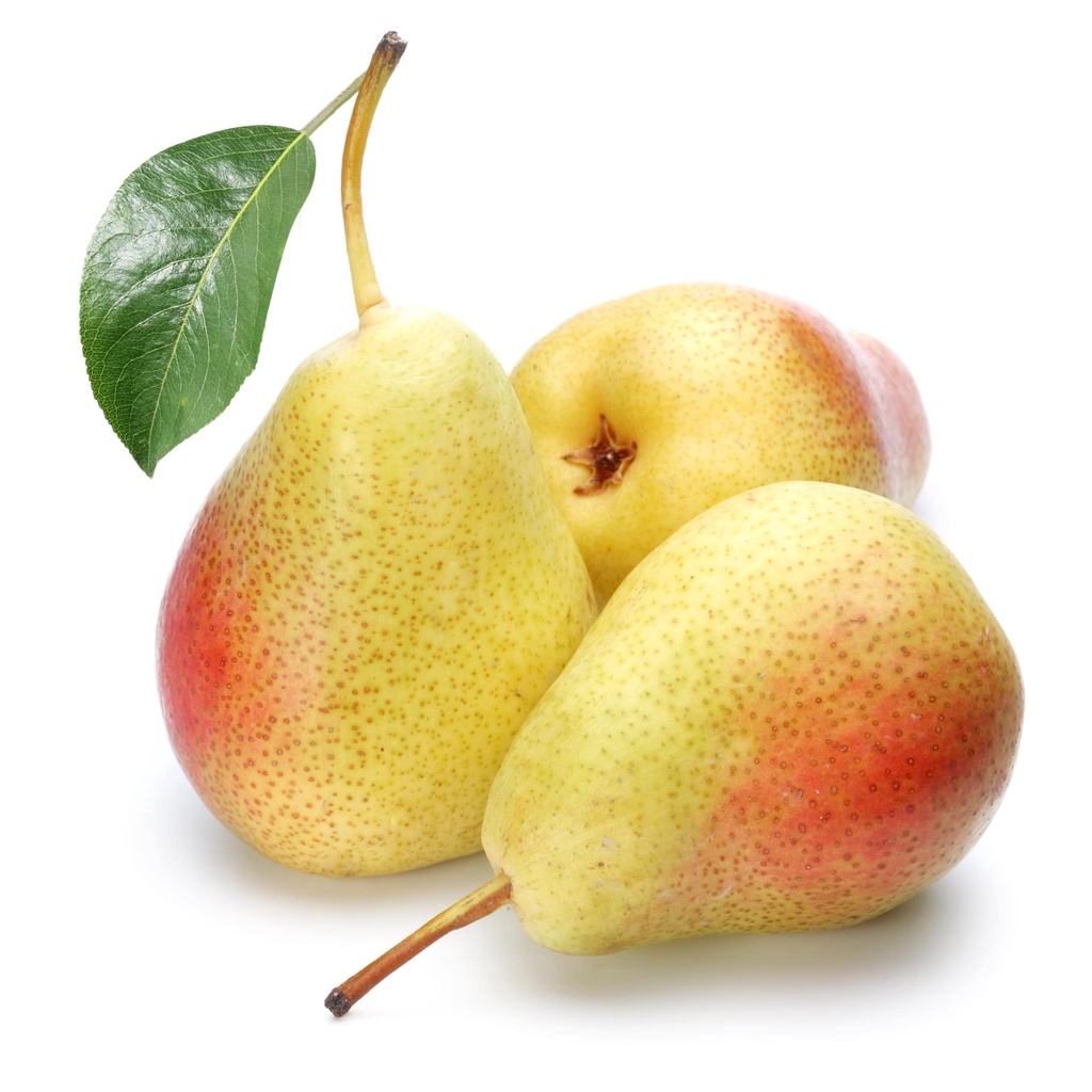 

PEAR FORELLA 1KG, PEAR JAMBU 1KG, XIANGLIE 1KG, XU XIANGLIE 1KG,PEAR ANJOU 1 KG, PEAR CELINA 800 GR