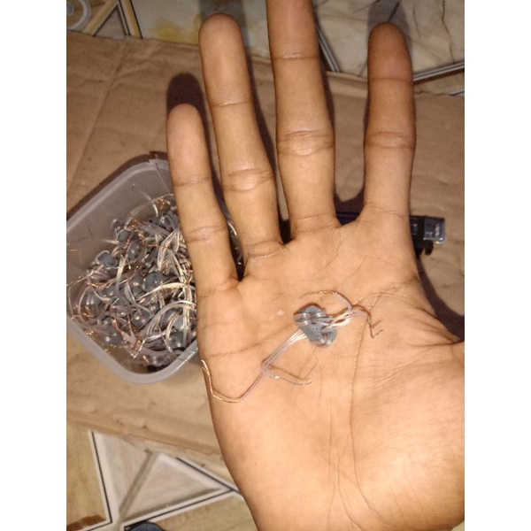 balun ferid antena digital