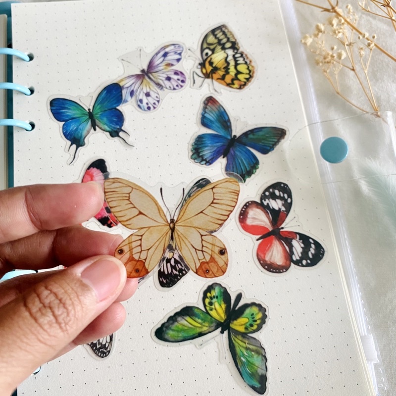 Jual Sticker transparan butterfly/ Sticker pvc motif kupu-kupu | Shopee ...