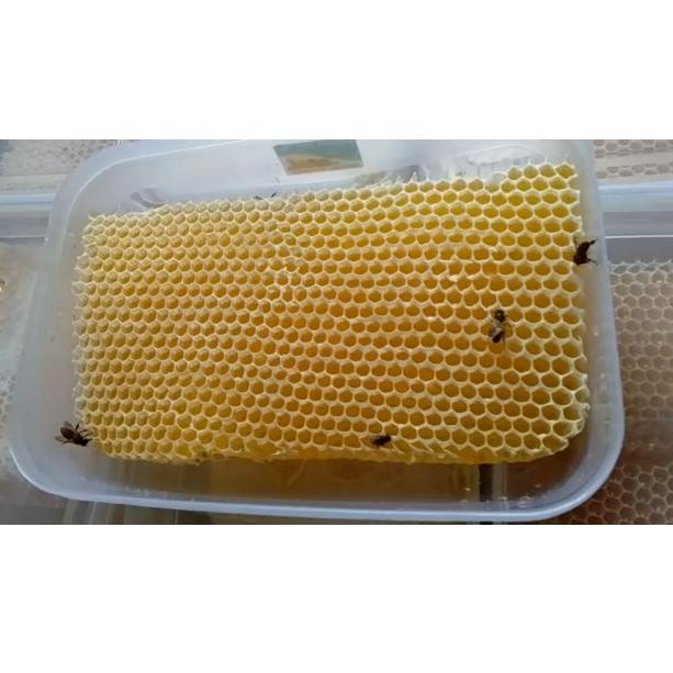

㊔ Madu sarang Asli 100% honeycomb[500gr] READY 2478 ◉
