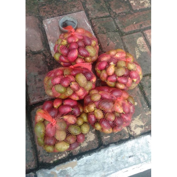 

Buah Matoa Pati Fresh 1Kg