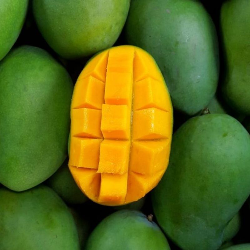 

buah mangga harum manis