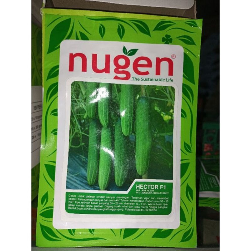 Sale.. Timun Hector F1 20gr Timun Hijau Tahan Kresek Buah Lebat Original Pabrik