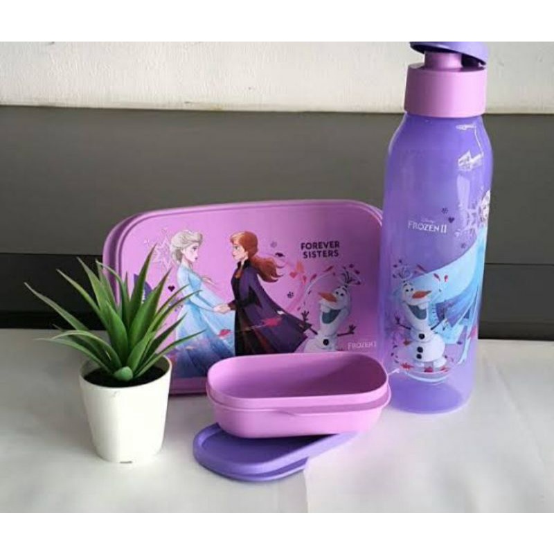 Tupperware Frozen set lilac