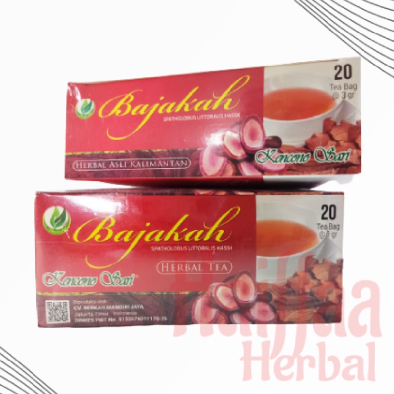 

Teh Bajakah Kencono Sari Teh Celup Kantung Herbal Akar Bajakah Asli Original