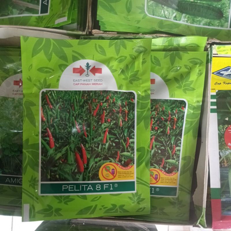 benih unggul Cabe rawit Pelita 8 f1 isi 2250 biji