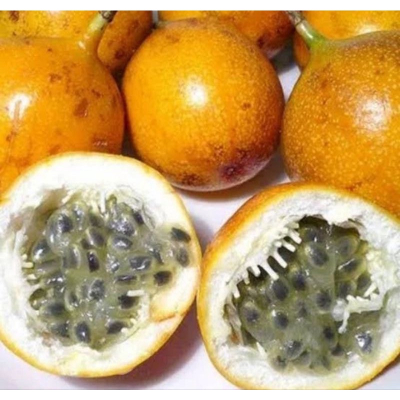 

buah markisa padang Fresh 1kg