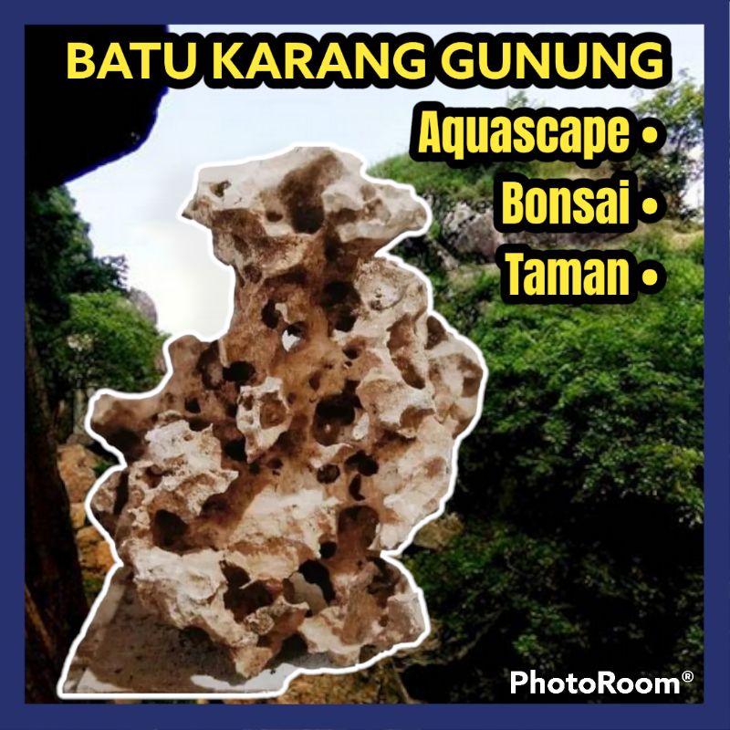 Jual Batu Karang Karang Gunung Batu Bonsai Batu Hiasan Batu Alam Batu Aquascape Batu