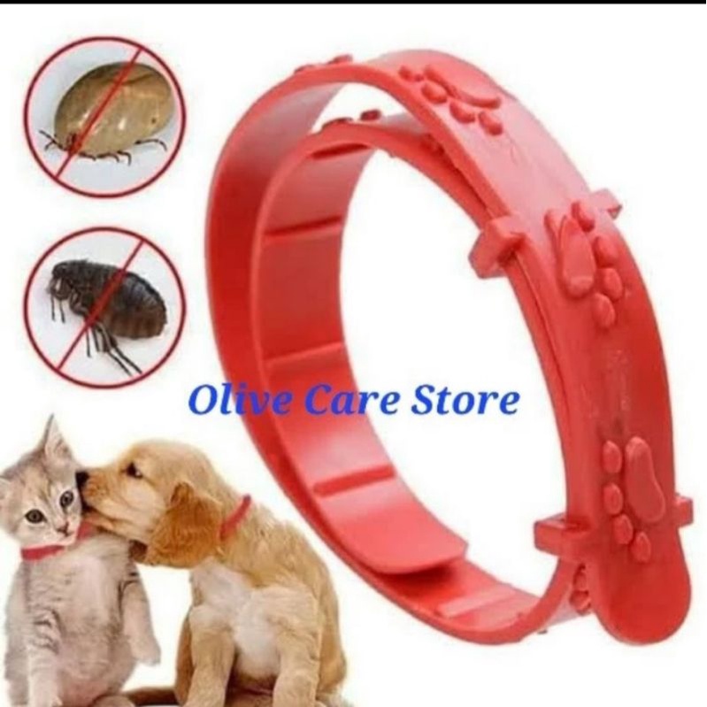 Flea &amp; Tick Circle Kalung Kutu Murah For Cat