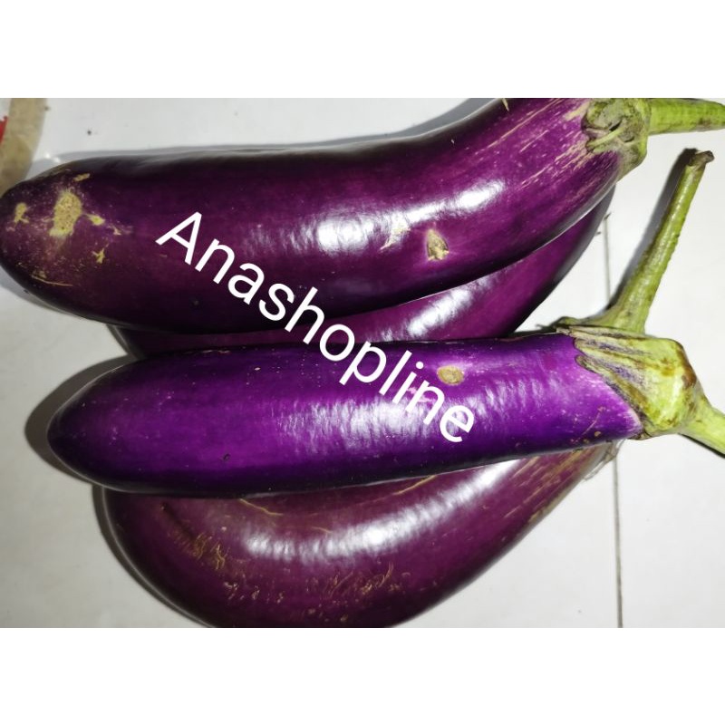 

Sayur Terong ungu 250gr