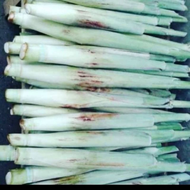 

termurah terubuk/sayur trubus/telor tebu/Delowako/perbuah