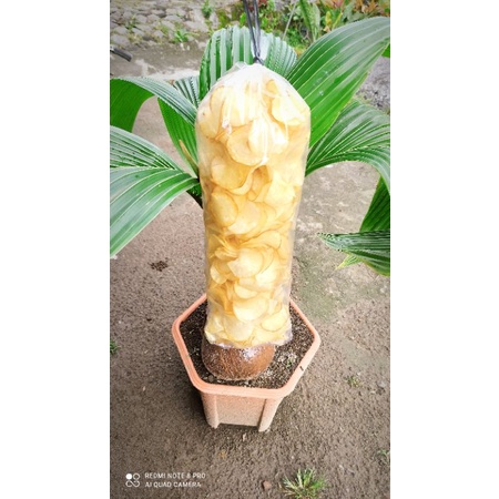 

criping jendal/kripik singkong