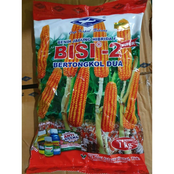 Bisi 2 Benih Jagung Hibrida Cap Kapal Terbang