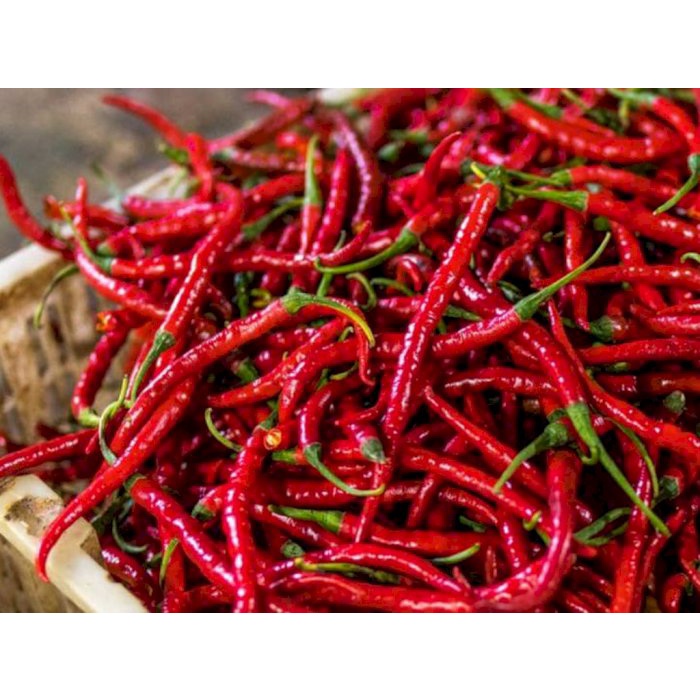 

Cabe / Cabai Merah Keriting 500 gr