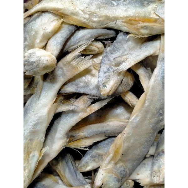 

ikan asin sinagin asli Medan kualitas SUPER 500g
