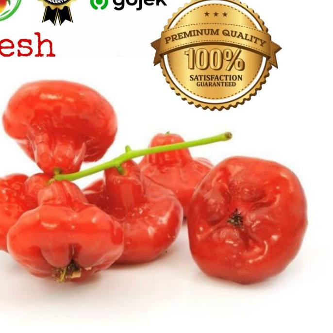 

COD✔️Jambu Rujak cincalo merah 1 kg|RA4