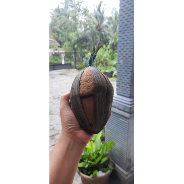 

PO Gula Aren Asli Banjarnegara