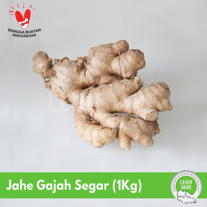 

paling diminati] Jahe gajah / jahe putih segar organik 1 Kg