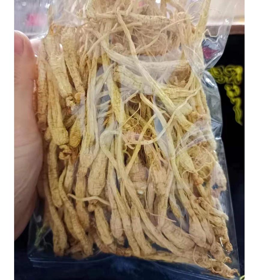 

KODECc1C6--Anak Ginseng kering 小干参 100 gram lebih hemat