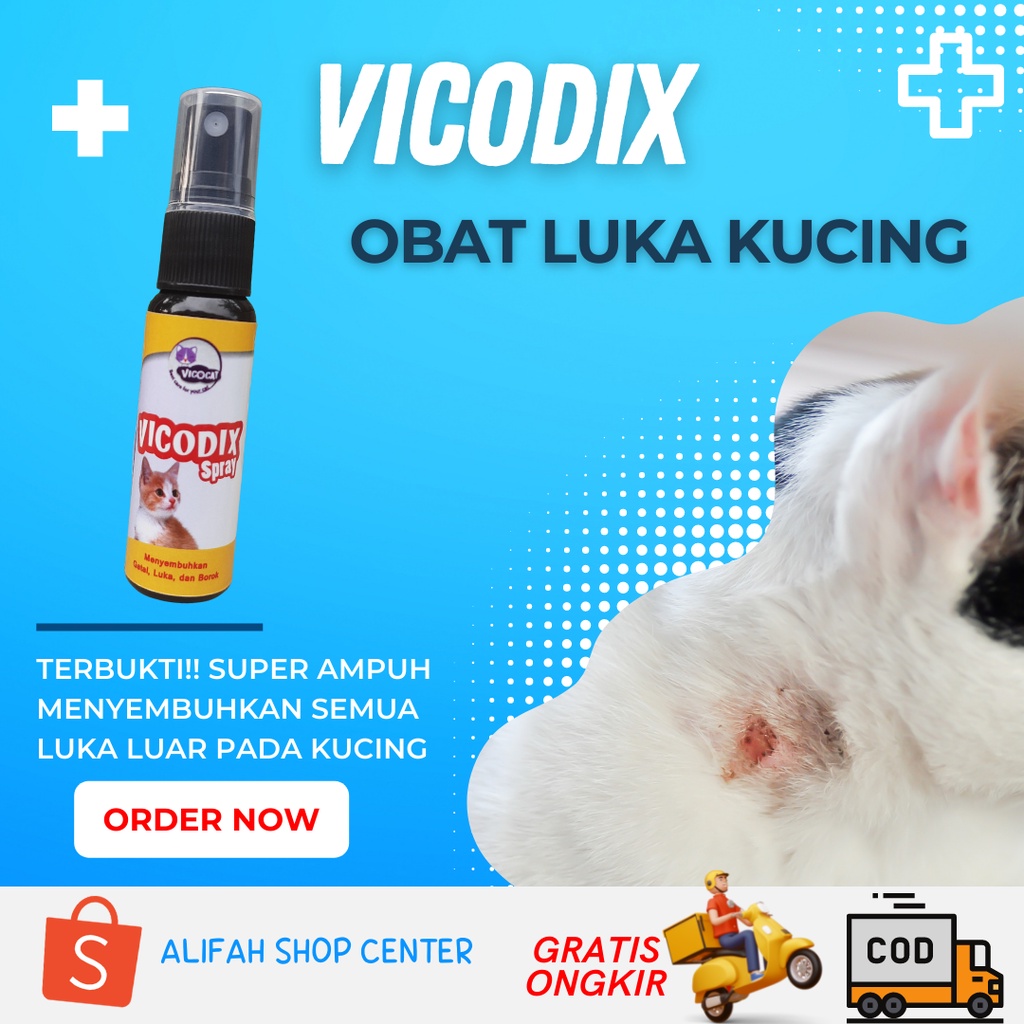 Jual Obat Luka Kucing Akibat Tergores Terbakar Gatal Borox Eksim Gudik
