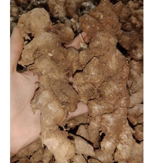 

idLl2L6--JAHE EMPRIT SUPER 1KG