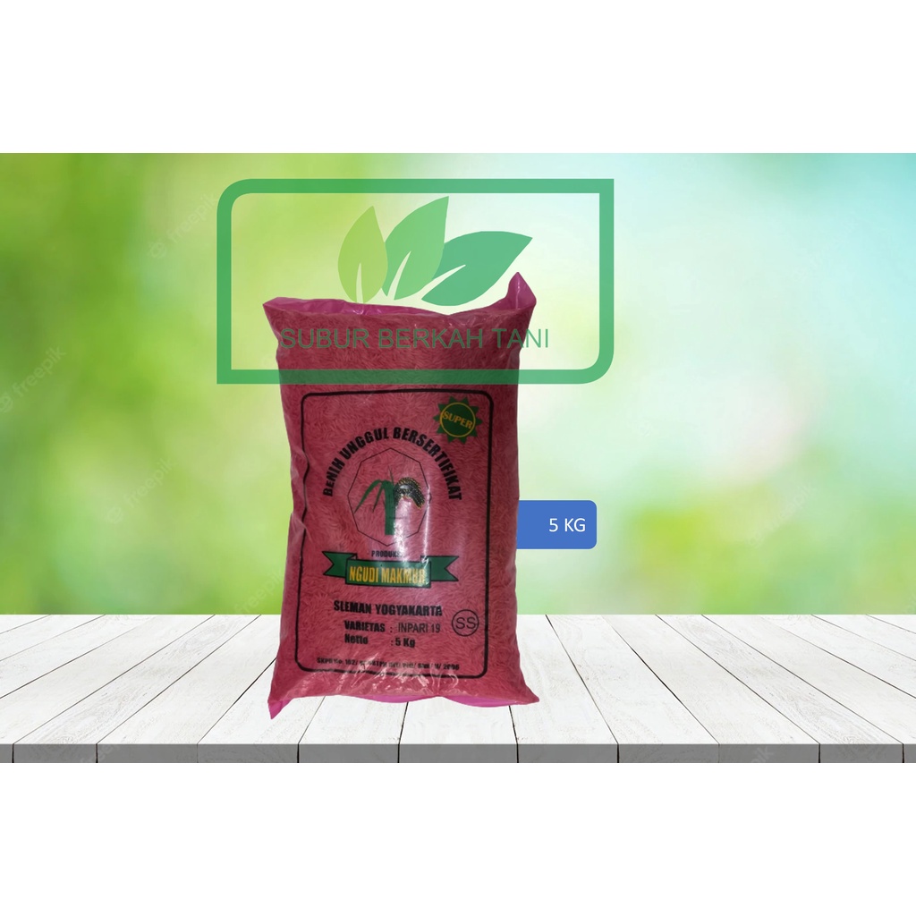 PADI INPARI 19 , BENIH PADI INPARI 19 , BIBIT PADI INPARI 19