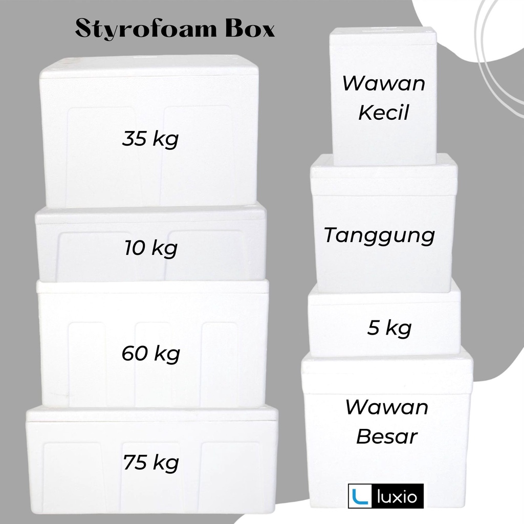 Box Styrofoam Storofoam Box Gabus Box Ice Packing Ikan Beku Styrofoam Frozen Food Styrofoam Kotak Es