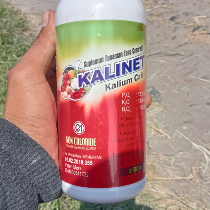Kekinian pupuk cair kalinet %e<