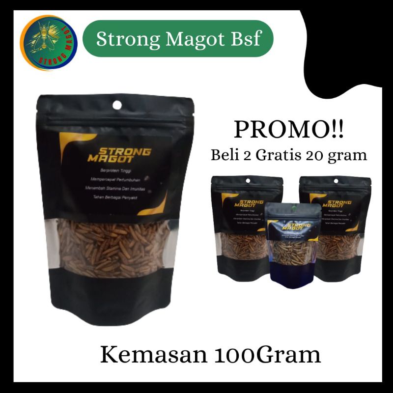 Magot Bsf - Strong Magot - Kemasan 100g - Beli 2 free 20g - Pakan Reptilia - Pakan Ikan Hias