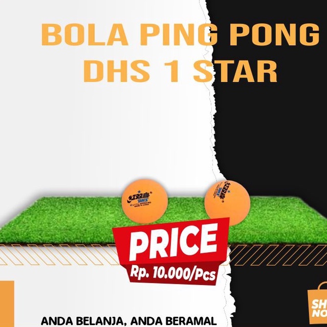 BOLA PINGPONG DHS 1 STAR