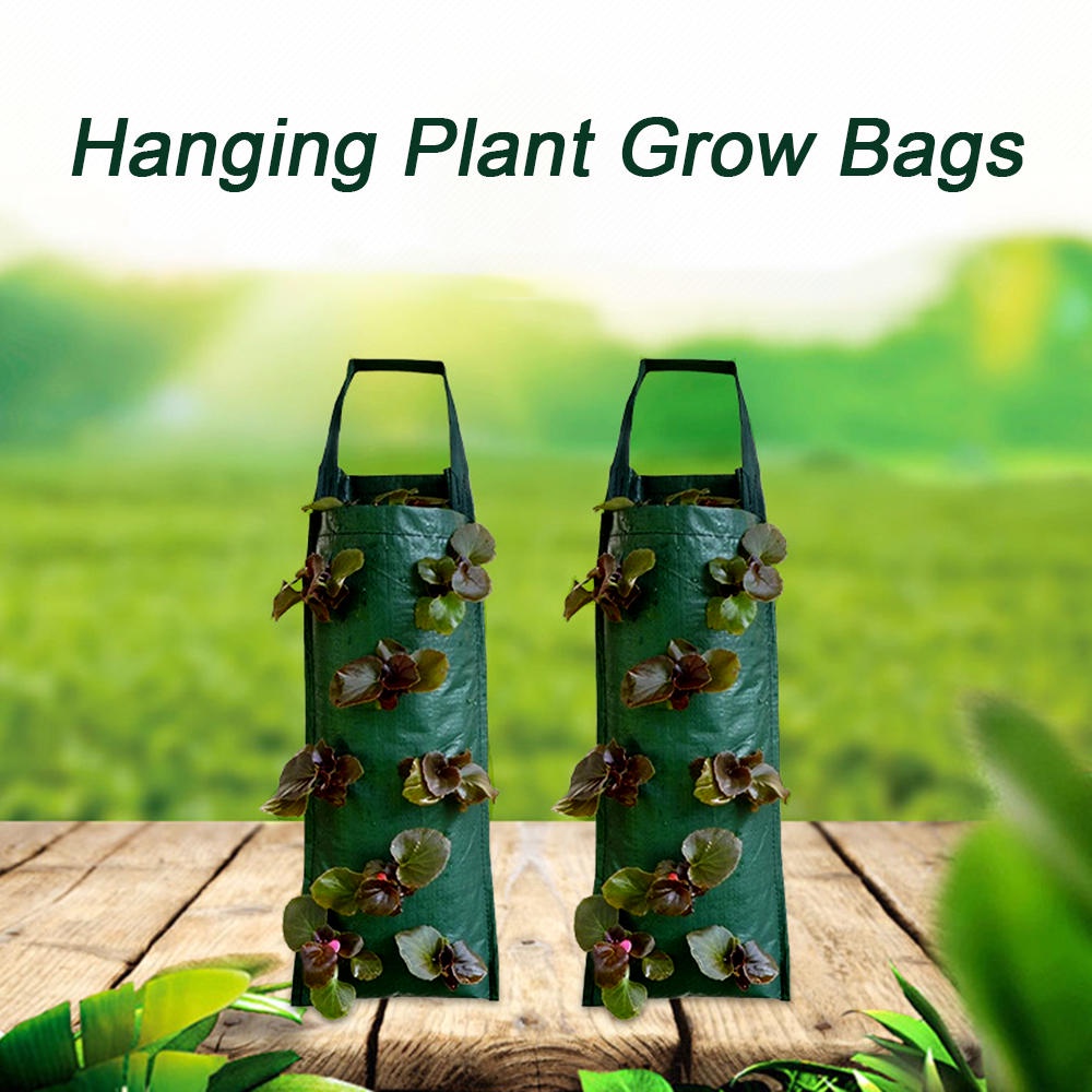 【10 Hole】Wall Planter Bag/Plant Pouch/Planter Bag Dinding/Tanaman Pot Dinding