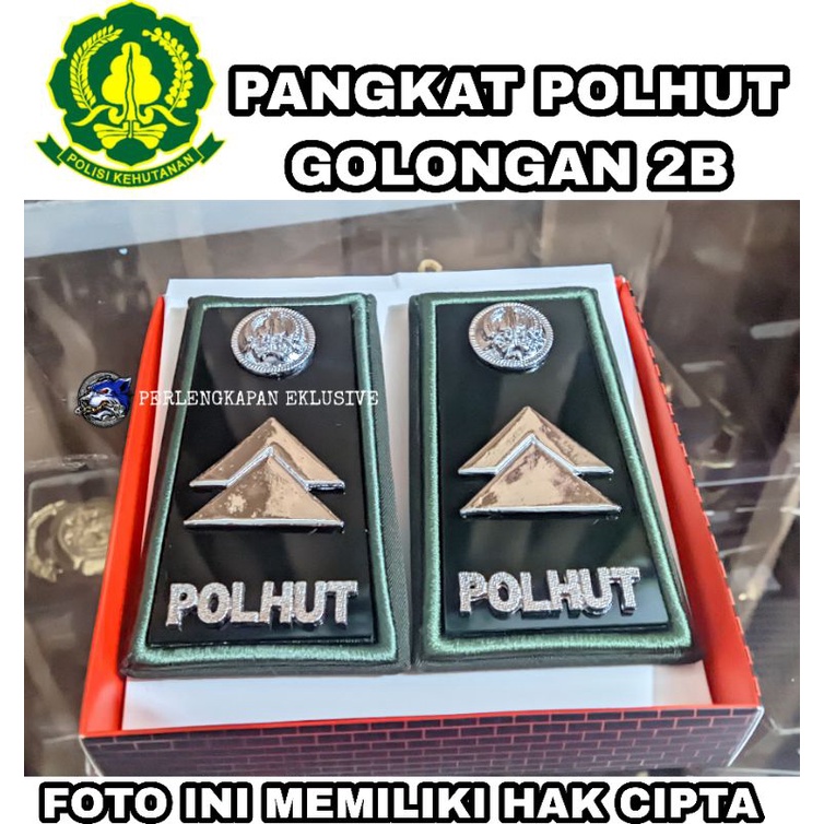 PANGKAT POLHUT 2B - PANGKAT POPHUT GOLONGAN 2B - PANGKAT POLHUT