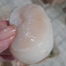 

scallop /daging kerqng kampak jumbo