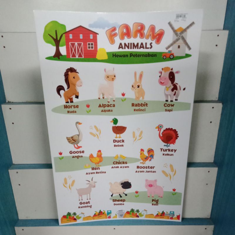 Poster Hewan Peternakan