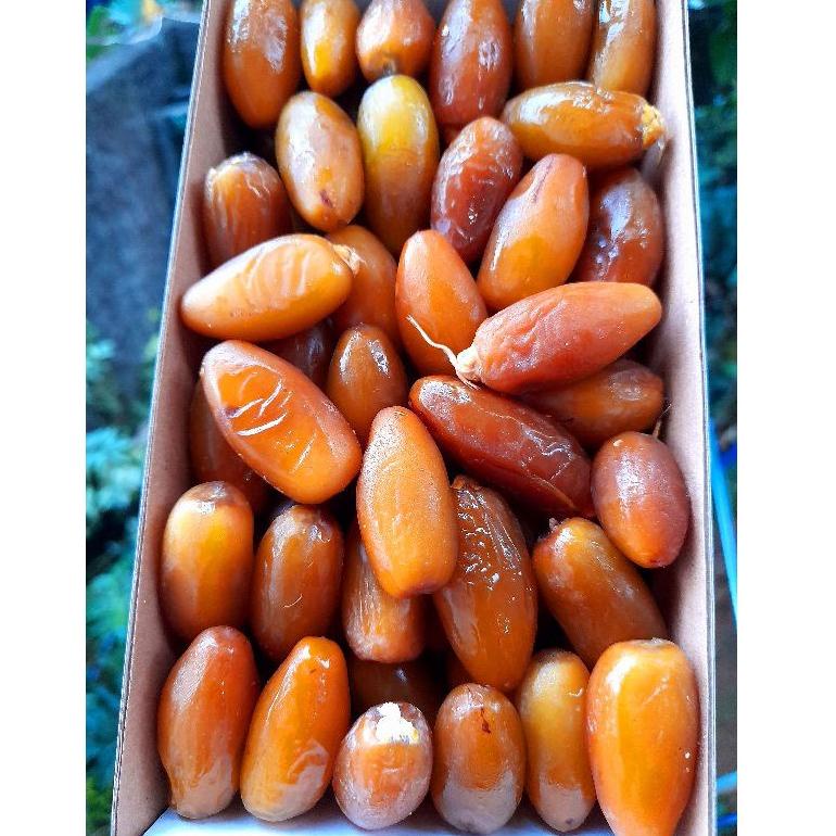 

uz✥Harga Termurah☋ kurma muda ruthob promil/kurma muda libya/kurma ruthob muda libya/kurma segar l/kurma ruthob premium 61 ✥