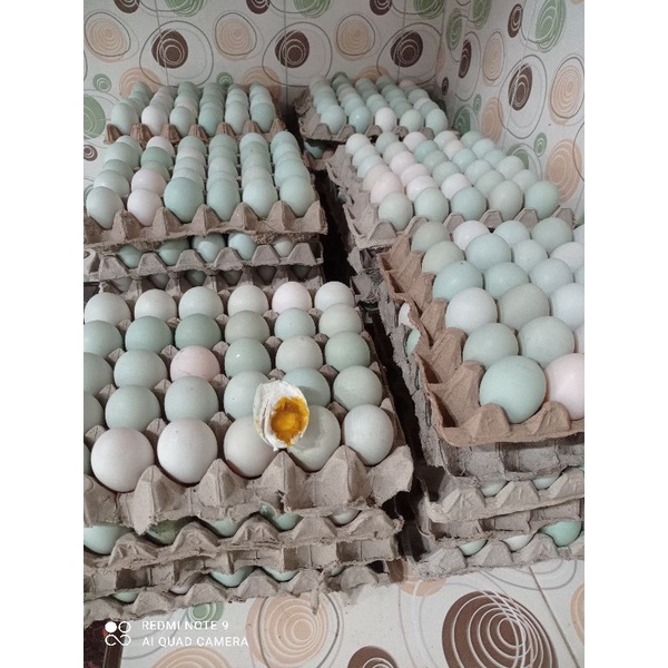 

Telur Asin matang siap makan. Gurih dan masir #telur #telurasin #asintelur #telurbebek #asin #telorasin #telor #asintelor #telorbebek