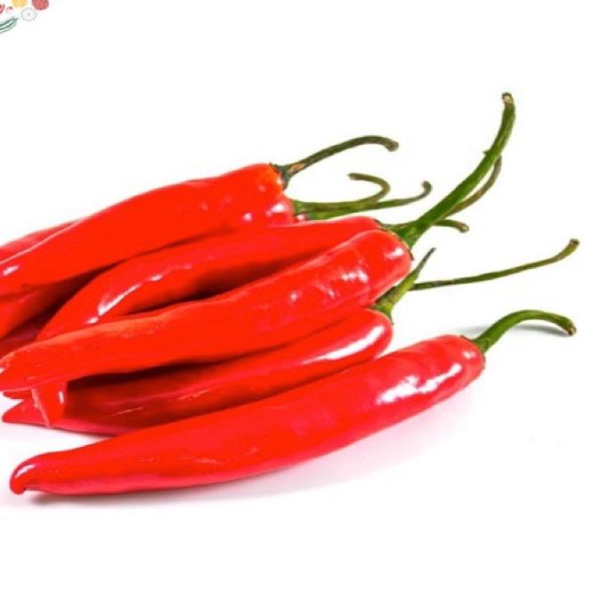 

✨SHOPEE MALL✨ CABE MERAH BESAR/CABE MERAH TW !!!