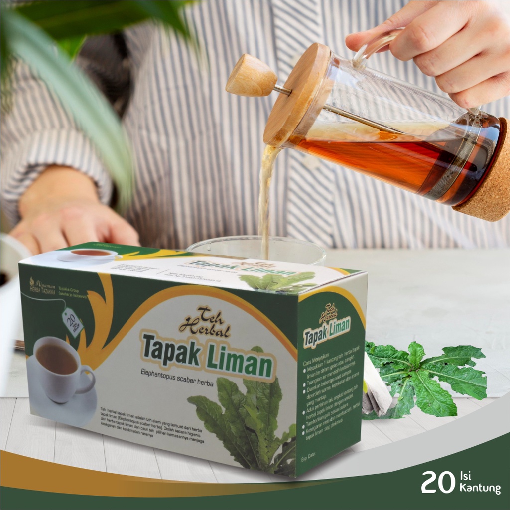 

Teh Antioksidan Daun Tapak liman Antiradang Tazakka Original Halal BPOM Isi 20 Kantung Celup Tea Bag Obat Liver Anti Kanker Minuman Kesehatan Herbal Anti Jamur Vitamin Daya Tahan Tubuh Dewasa