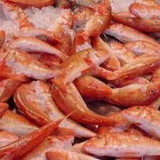 

Ikan Biji Nangka Segar 500gr