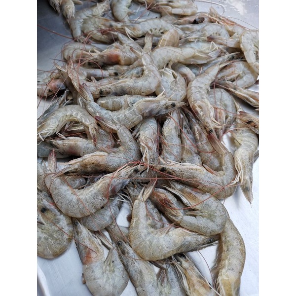 

Udang panami 250g