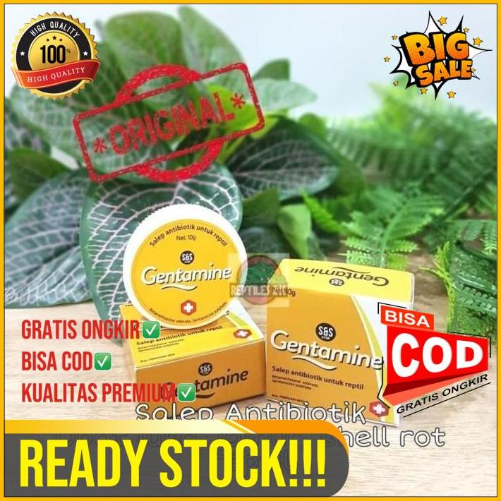 Gentamine Salep Obat Antibiotik Reptil Luka Jamur Shell Rot Iritasi