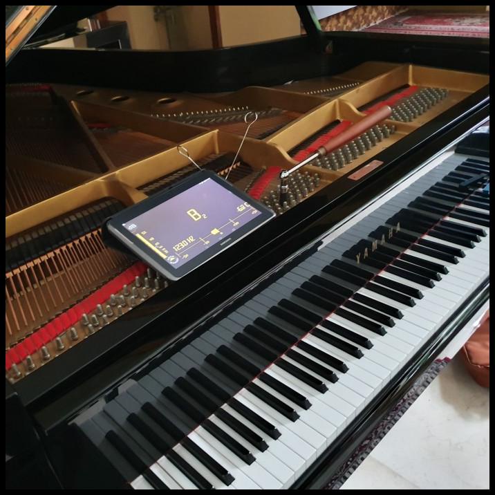 Stem Piano Tuning Service Piano
