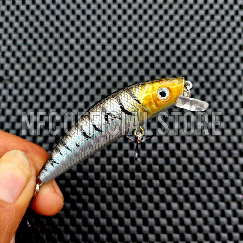 Lure Minnow Floating 7 cm 8 gram Best Killer Action LONG CAST