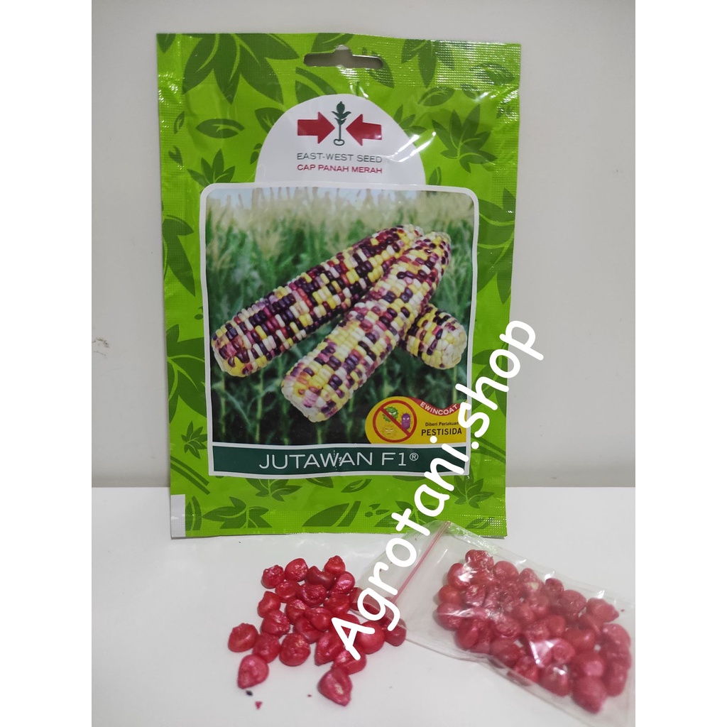 Benih Jagung Ketan/Pulut Jutawan F1 Kemasan Repack