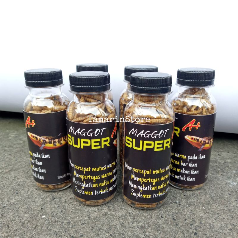 Maggot Super A+ Berkualitas Pakan Ikan Predator Dan Hewan Peliharaan - Beli 5 Gratis 1