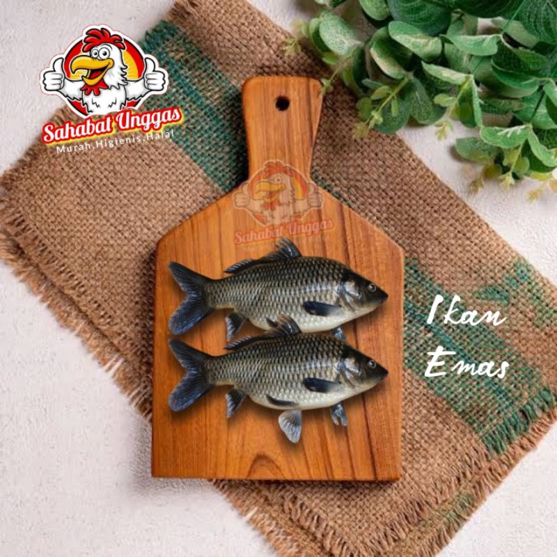 

Ikan Emas 500gr